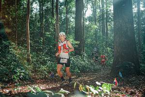 BIB: 
                            <button type="button" onclick="openModal(26073504)" class="btn btn-primary btn-sm float-right btn-popup" data-toggle="modal" data-target=".modal-high-quality">
                        <i class="fas fa-shopping-cart"></i> Add to Cart
                    </button>
                                            <button type="button" onclick="isThisMe(26073504, true)" class="btn btn-success btn-sm float-right btn-popup btn-isme hidden" data-toggle="tooltip" data-placement="bottom" title="นี่คือรูปของคุณใช่ไหม คลิกที่นี่เพื่อเอาเข้าอัลบั้ม">
                        <i class="fas fa-plus"></i> Add to album
                    </button>
                    <button type="button" onclick="isThisMe(26073504, false)" class="btn btn-warning btn-sm float-right btn-popup btn-isnotme hidden">
                        <i class="fas fa-ban"></i> Remove from album
                    </button>